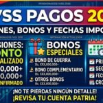 IVSS pagos 2026: pensiones, bonos y fechas importantes