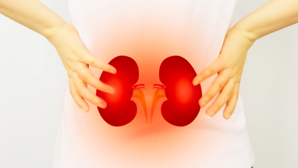 jinzo-byono-shoki-shojo